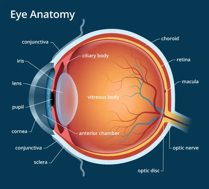 Eye Hospital In Chhindwara